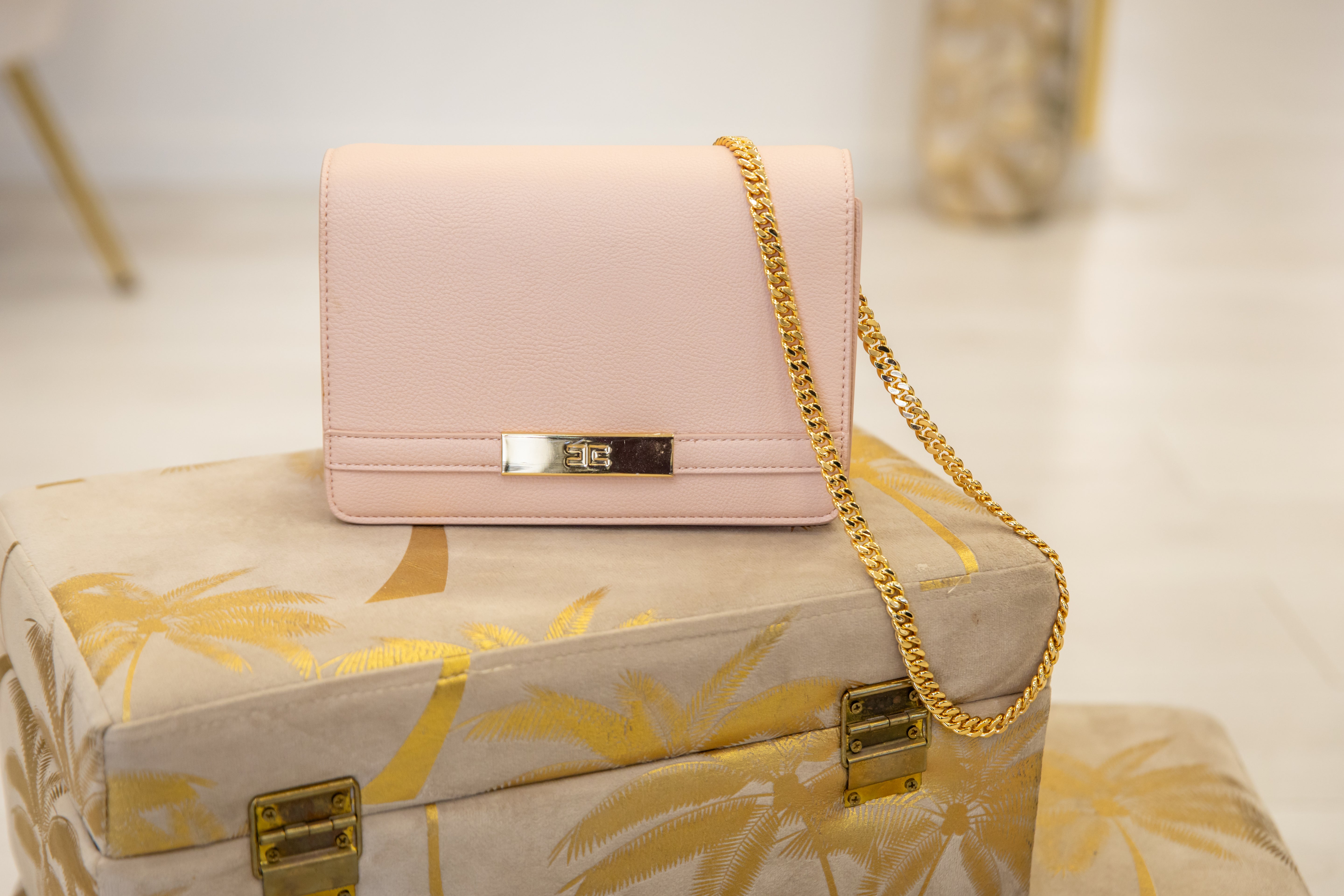 ELISABETTA FRANCHI - borsa Immagine principale del prodotto